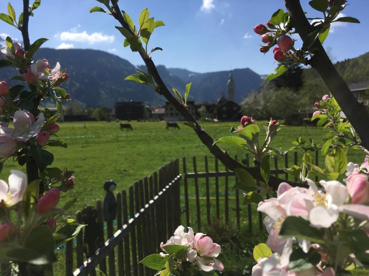 Roessle Appartement Bezau Bagian luar foto