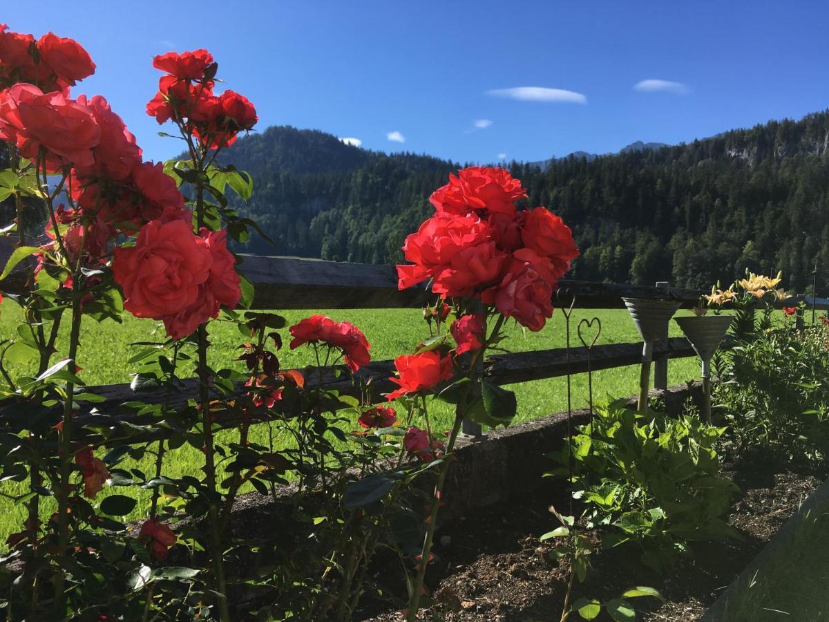 Roessle Appartement Bezau Bagian luar foto
