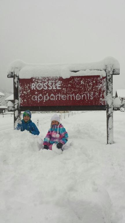 Roessle Appartement Bezau Bagian luar foto
